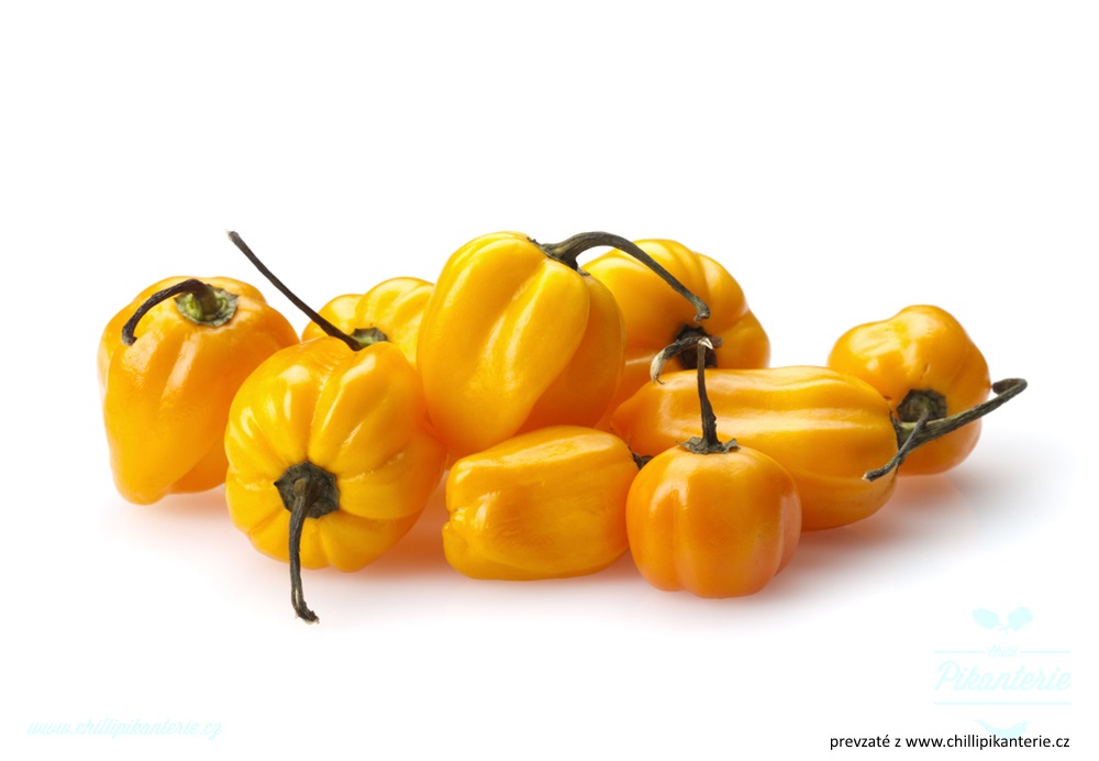 habanero_yellow1